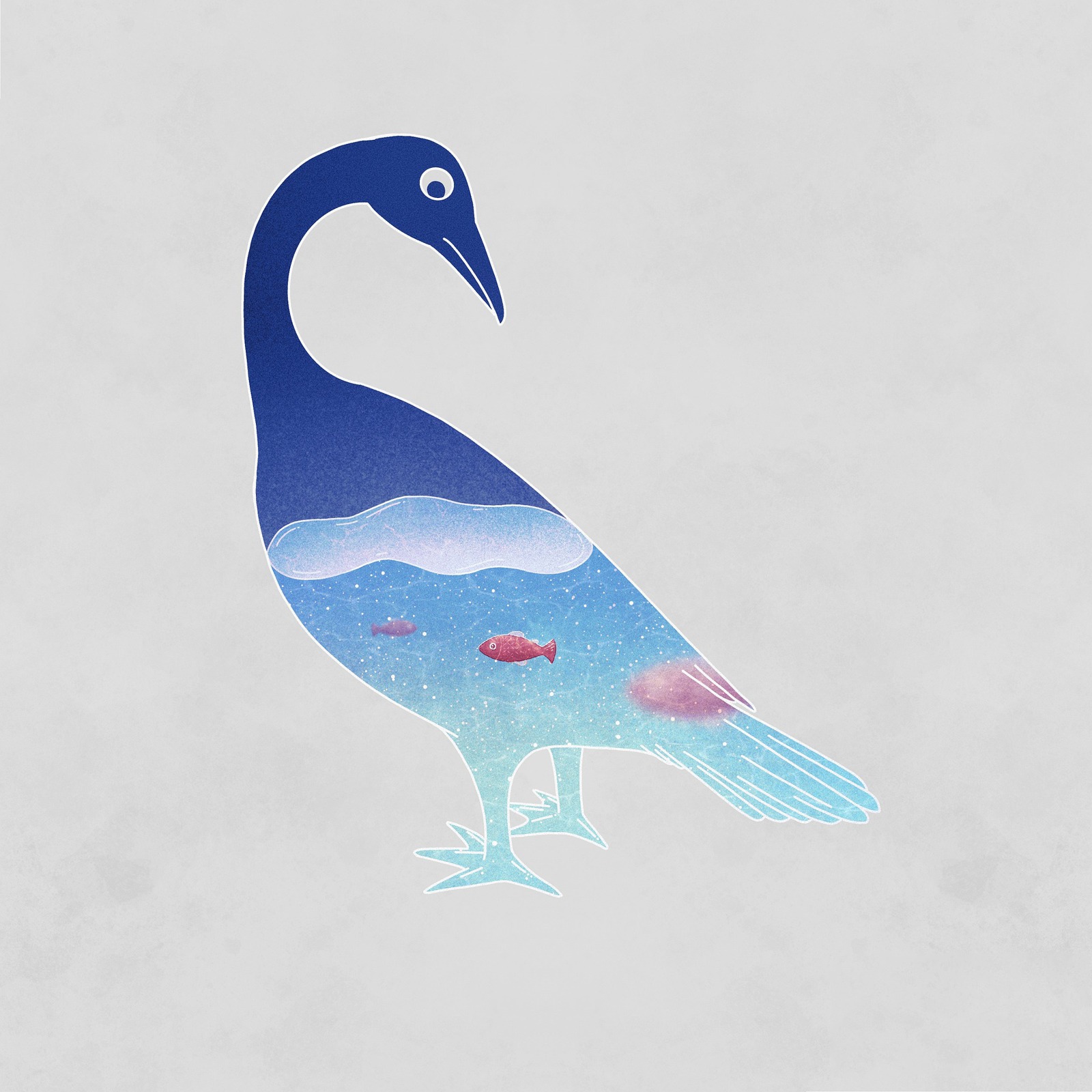vogel meivakantie pixabay